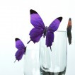 Set 18 deco vlinders semi transparant paars